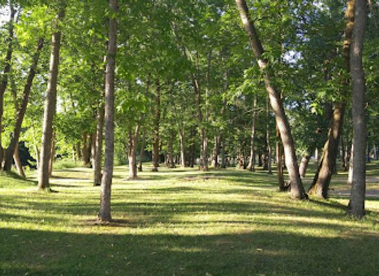 minnesota/big-woods/landmark/roseau-city-park