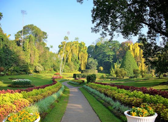 sri-lanka/north-central-province/landmark/royal-botanic-gardens-peradeniya
