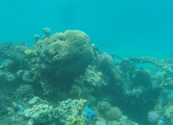 israel/negev/landmark/dolphin-reef-beach
