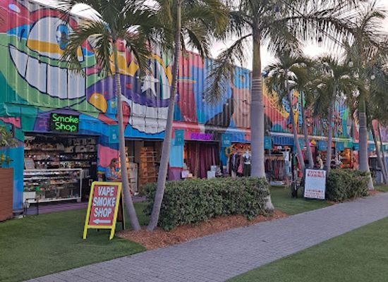 florida/miami/wynwood/landmark/maps