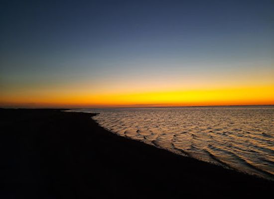 texas/south-texas/landmark/grasslands-nature-trail