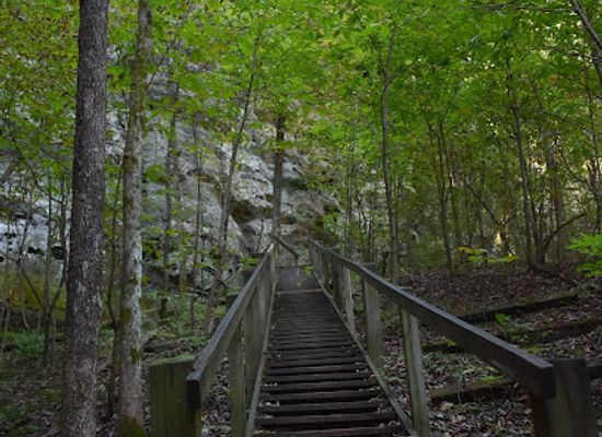illinois/ferne-clyffe-state-park/landmark/round-bluff-nature-preserve