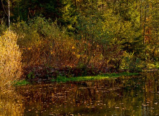 germany/sauerland/landmark/silbersee