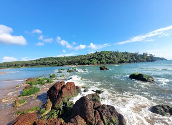 india/goa-beaches/landmark/galgibaga-beach