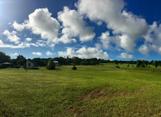 barbados/christ-church/landmark/fiddlewood-park