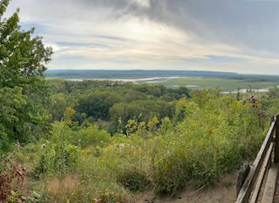 illinois/driftless-area/landmark/mississippi-palisades-state-park