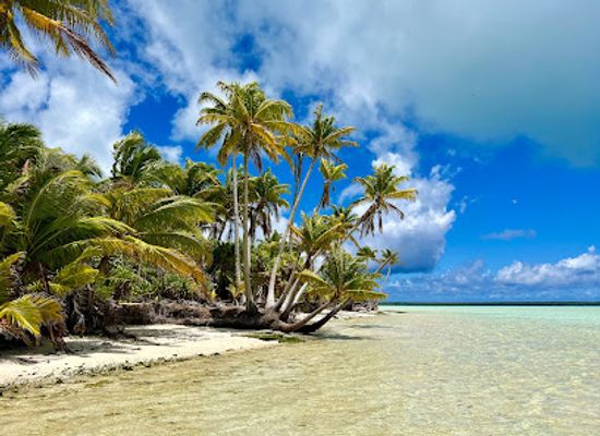 french-polynesia/society-islands/landmark/rimatu-u