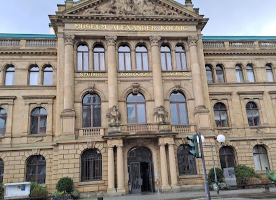 germany/bonn/landmark/museum-koenig-bonn
