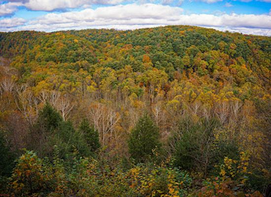 ohio/mohican-state-park/landmark/gorge-overlook-trail