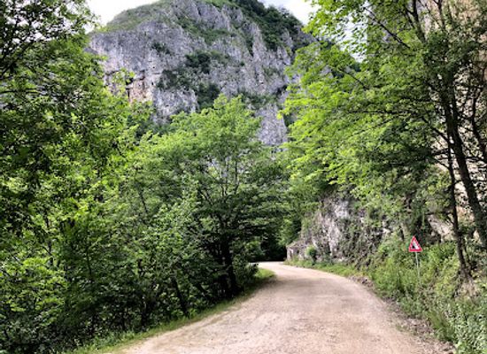 romania/gorj/landmark/pestera-polovragi