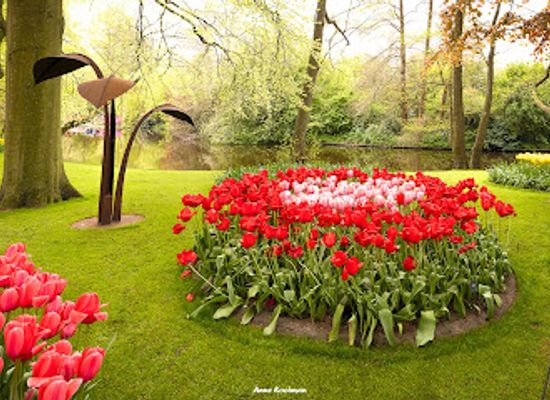 netherlands/keukenhof-gardens/landmark/willem-alexander-paviljoen