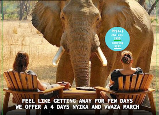 malawi/nkhata-bay/landmark/nkhata-bay-safaris