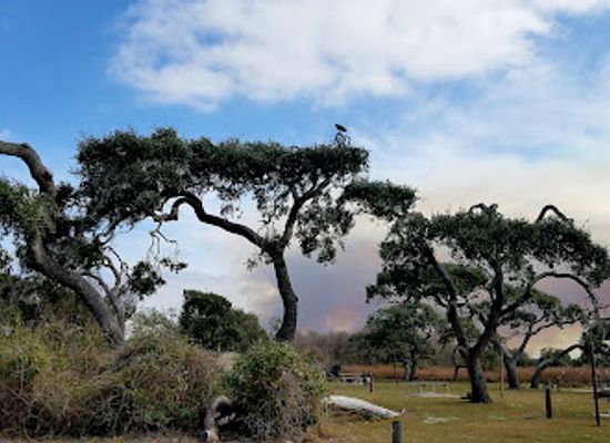 texas/gulf-coast/landmark/goose-island-state-park