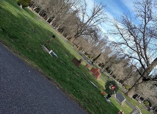 washington/bellingham/landmark/whatcom-falls-park
