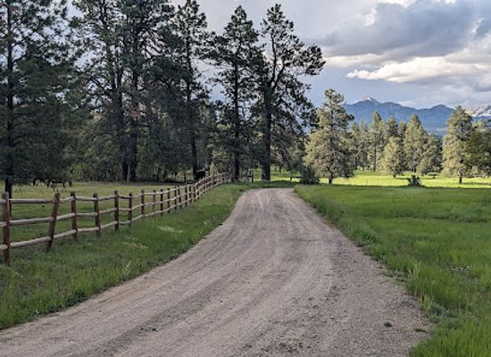 colorado/san-juan-mountains/landmark/buckaroos-horse-drawn-rides