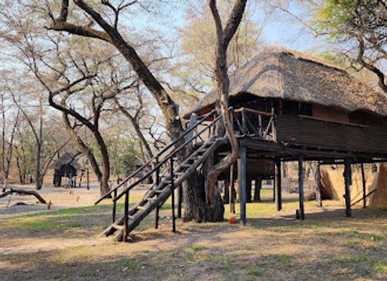 zimbabwe/hwange/landmark/sikumi-tree-lodge