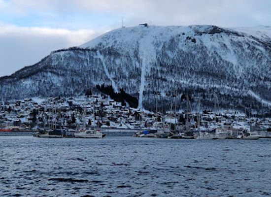 norway/tromso/tromsdalen/landmark/the-polar-museum