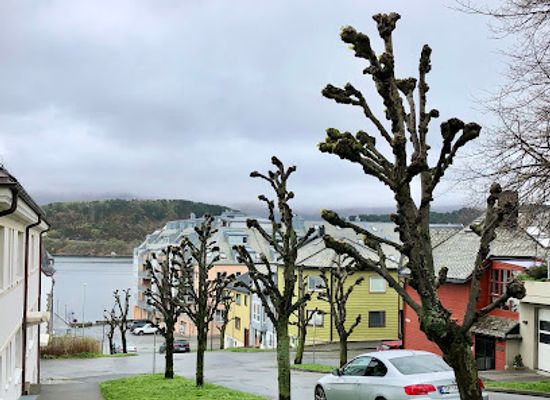 norway/alesund/landmark/walk-of-fame