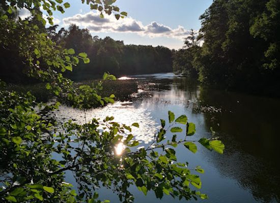 sweden/sodermanland/landmark/sodermanlands-runinskrifter-367