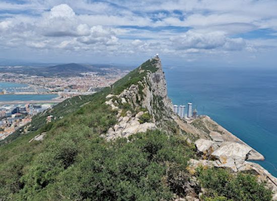 gibraltar/st-michael-s-cave/landmark/barbary-macaque-feeding-station