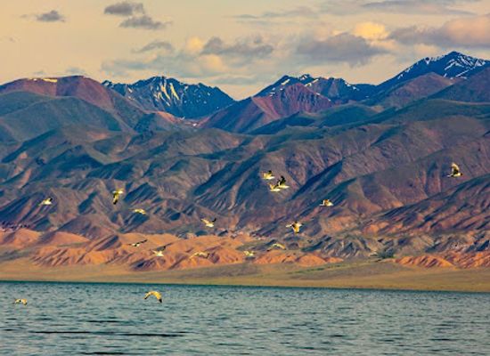 mongolia/ikh-nuur-basin/landmark/uureg-lake