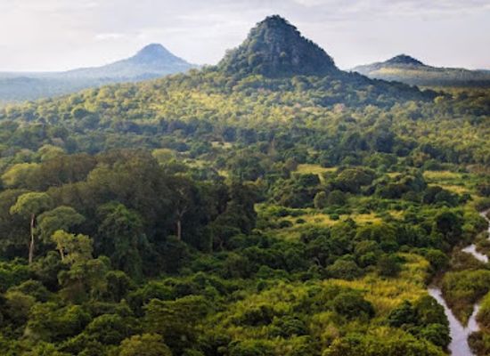 mozambique/chimanimani-mountains/landmark/gorongosa-national-park