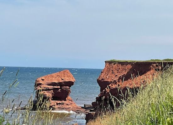 canada/maritimes/landmark/the-cactus-pot