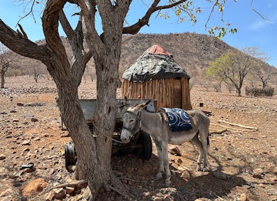 namibia/kuneneland/landmark/kaoko-info-centre
