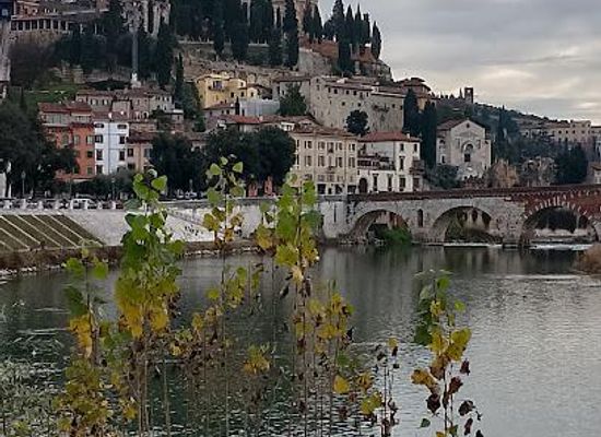 italy/verona/landmark/lungadige-s-giorgio