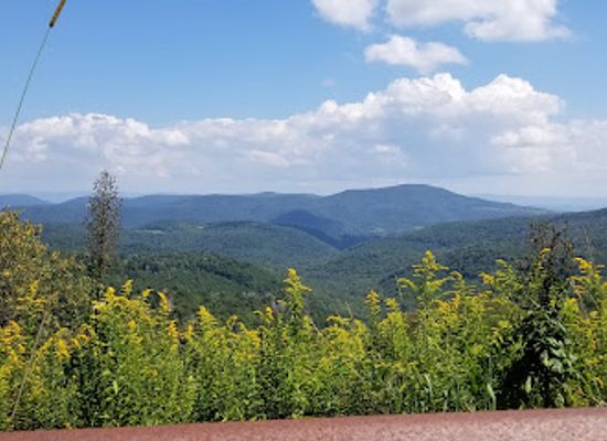 west-virginia/dolly-sods-wilderness/landmark/monongahela-national-forest