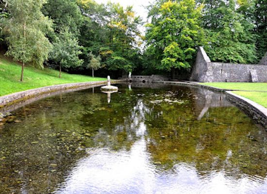 ireland/county-tipperary/landmark/st-patrick-s-well