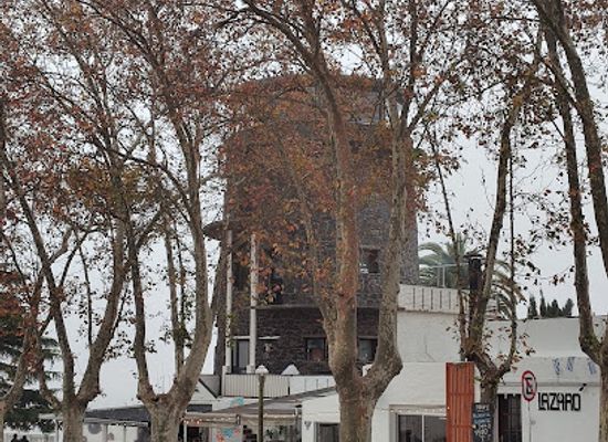 uruguay/colonia-del-sacramento/landmark/busto-general-san-martin