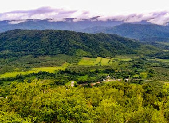 belize/stann-creek-district/landmark/billy-barquedier-national-park