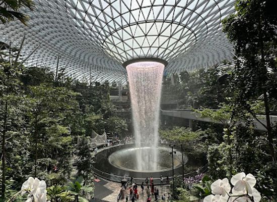 singapore/changi/landmark/sunflower-garden