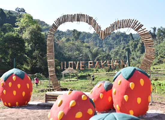 laos/muang-sing/landmark/namha-pakham-garden