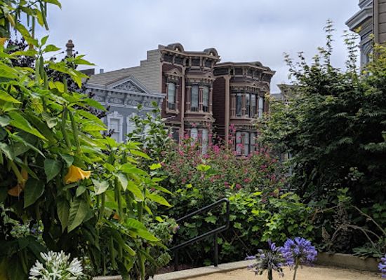 california/san-francisco-peninsula/landmark/bush-street-cottage-row-historic-district