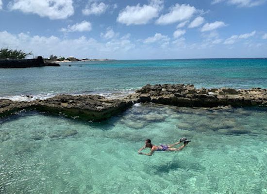 turks-and-caicos-islands/salt-cay/landmark/salt-cay-divers