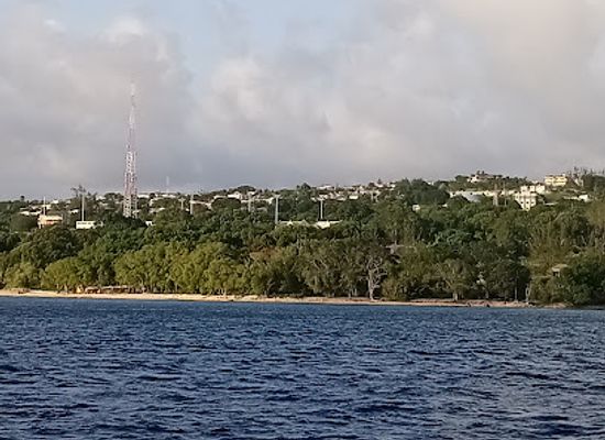 barbados/west-coast/landmark/atlantis-submarines-barbados