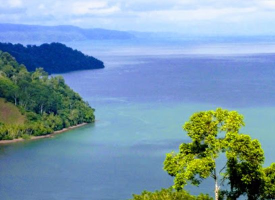 costa-rica/south-pacific/landmark/reserva-forestal-golfo-dulce