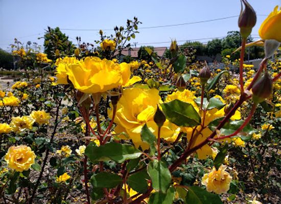 california/costa-mesa/landmark/costa-mesa-historical-society