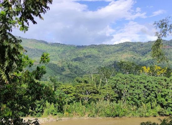 ecuador/amazon/landmark/rio-yacuambi