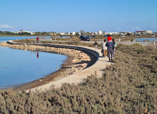 cyprus/larnaca-salt-lake/landmark/salt-lake-view-point