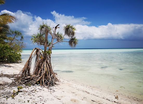 indonesia/pulau-wakatobi/landmark/tomea-island