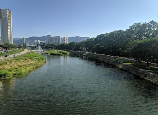 south-korea/daegu/landmark/kim-gwang-seok-street