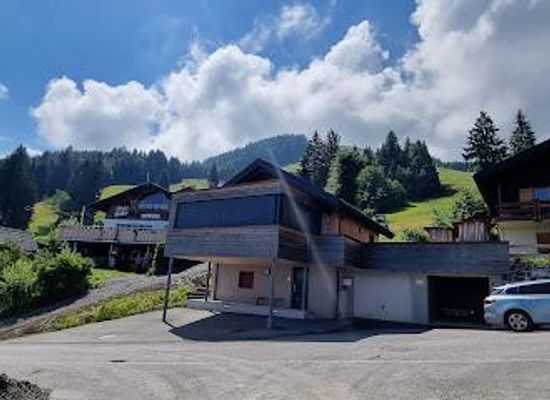austria/vorarlberg/landmark/liechtenstein
