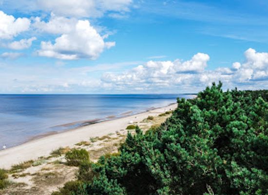latvia/jurmala/landmark/pine-trees-of-rainis