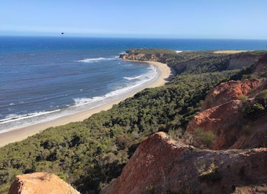 australia/great-ocean-road/landmark/point-addis-marine-national-park