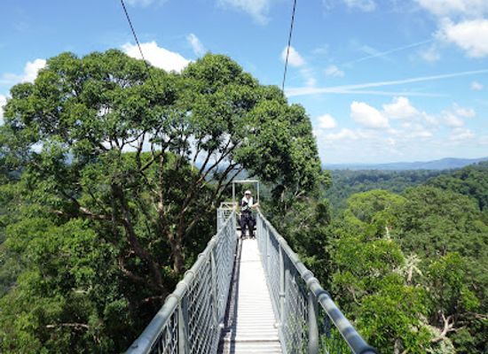 brunei/telisai/landmark/ulu-temburong-national-park