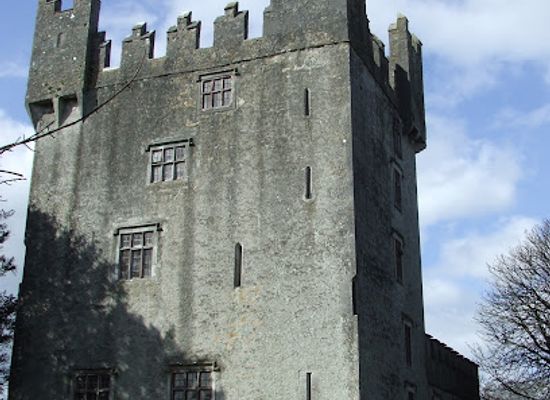 ireland/county-limerick/landmark/castle-matrix