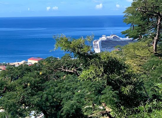 dominica/layou-river/landmark/morne-bruce-viewpoint